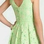 Lilly Pulitzer  Freja New Green Pique Two Tone Lace Fit Flare Dress Photo 1