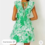 Lilly Pulitzer Ritamarie V-Neck Cotton Ruffle Dress Spearmint Kiss My Tulips 12 Photo 1