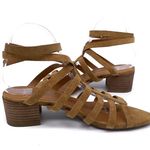 Franco Sarto Finesse Gladiator Suede Sandal Tan 9 Photo 6