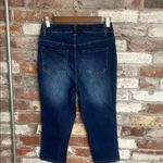 D. Jeans  Blue Capri Jean Pants Size 4 Photo 3