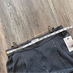 Equipment NWT  100% silk Soren pants blue and white vertical pinstripe Photo 4