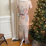 Adrianna Papell  Matelassé Column Gown Blush Multicolor Metallic Size 6 NWT Photo 6