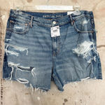 American Eagle Strigid Relaxed Distressed Short Photo 0
