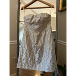 American Eagle Women's  Dress Size 10 Beige Silver Strapless Dress Photo 3
