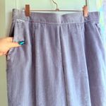 Ann Taylor Crushed Velvet Relaxed Fit Tapered Leg Cropped Pant in Silver Grey size Medium Photo 1
