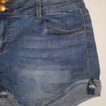 Hippie Laundry Distressed  High Rise Shorts Photo 3