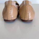 Tory Burch Caroline Ballerina Flat Photo 5