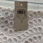 Ann Taylor  White Eyelet Skirt Photo 6