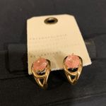 Anthropologie  Photo 2