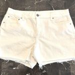 Daily Ritual High Rise Womens Raw Hem Jean Shorts 31/12 White Size undefined Photo 0