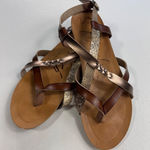 Blowfish Malibu Brown Bronze Vegan‎ Leather Ankle Strap Thong Sandals Size 7 Photo 0