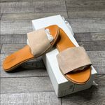 Treasure & Bond  Tan Suede Slide Sandals Photo 2
