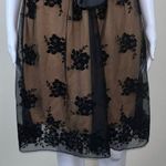 Heart soul  Cocktail Dress in Gold with Black Lace Overlay Photo 2