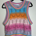ZARA Multi Color Crochet Sweater Vest Photo 0
