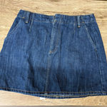 J.Crew  Denim mini skirt in resin wash size 27 Photo 0