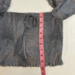 Wilfred Aritzia Sheer Gray Smocked Puff Sleeve Crop Top Size S Romantic Eveningw Photo 4