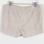 M. Patmos Lace Dress Hot Pants Shorts White Size 8 Photo 2