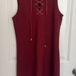 Black Swan Maroon dress Photo 0