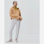 Everlane the ReNew fleece hoodie Photo 1