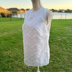 Sail To Sable  White Lace Sleeveless Top Photo 3