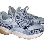 Shoe Dazzle Zoee Blue Faux Snakeskin Platform Sneakers Photo 0