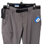 Columbia NWT Womens  soft shell‎ W Wildsee Hiking Cargo Pant - size 10 - Gray Photo 1