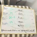 Tiara International elf green white Christmas sweater w jingle bells Photo 7