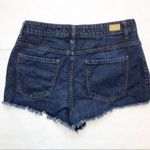 Urban Outfitters Outfitter Shorts Photo 4