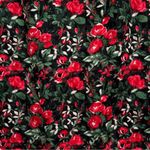 Club Monaco Red Rose Floral Velvet One Sleeve Sheath Dress Fancy Party Women’s 0 Photo 4
