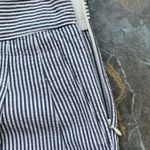 J.Crew  Seersucker Pleated Shorts Photo 3