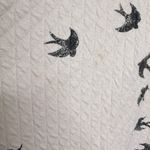 Sonoma  Quilted Light Pink Cotton Shirt Top Women’s Size XL Bird Print Photo 3