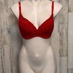 Lively 34DD Red Lace Underwire Bra Adjustable Straps Mesh Detail NWT Size undefined Photo 0