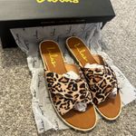 Lulus  Leopard Sandals Photo 2