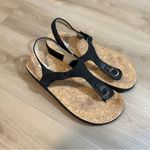 SAS Marina T Photo 3