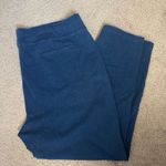 draper's & damon's Draper’s & Damon’s Jegging Pull On Pants 2X Photo 0