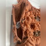 ZARA NWT LIMITED EDITION Embroidered Sequin Beaded Ruffled Top Sz Medium Photo 9