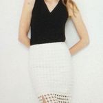 White House | Black Market  Cream Lace Circles Pencil Skirt Size 4 Photo 1