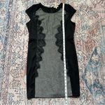 Mystree  Elegant Black and Gray Lace Panel Knit Dress Cap Sleeve Large Photo 6