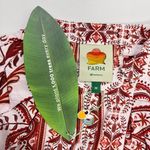 Farm Rio NWT  Tropical Cameo Belted Romper Size M 100% Cotton Puff Sleeves Photo 7