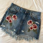 Free People Skirt Photo 2