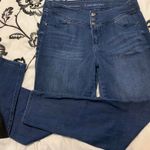 Lane Bryant High Waisted Jeans Size 16W Photo 0