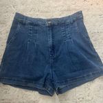 Naked Zebra Blue Jean Shorts Photo 0