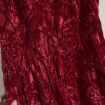 Y2K Roberta Whimsigoth Slip Dress S Velvet Red Sequin Lace Fringe Babydoll Photo 2