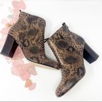 Lucca Lane Avra Snakeskin Booties Sz 9.5 Photo 2