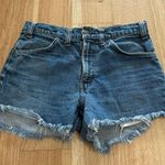 Levi's Vintage Orange Tab Shorts Photo 0