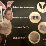 Playboy Bunny Costume  Photo 1