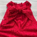 J.Crew NWT Tie Neck Lace Top in Harvest Red | XXS Photo 4