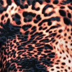 ASOS curve animal print dress women’s‎ size 16 Pink Photo 6