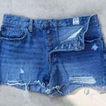 Free People  We The Free Sofia Distressed Cutoff Denim Shorts - 29 Photo 9