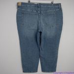 Madewell NEW Plus Stovepipe Jeans in Euclid Wash, 28W Photo 7